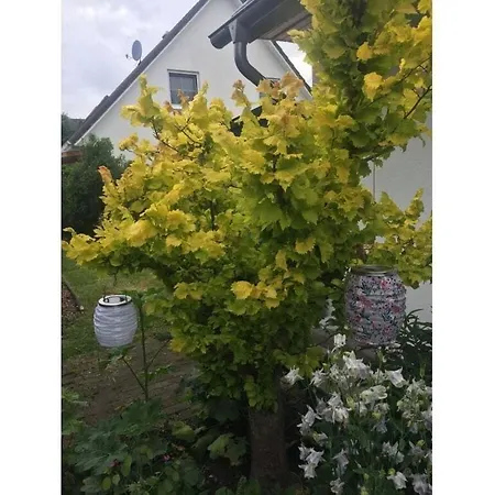 Apartment Laurine